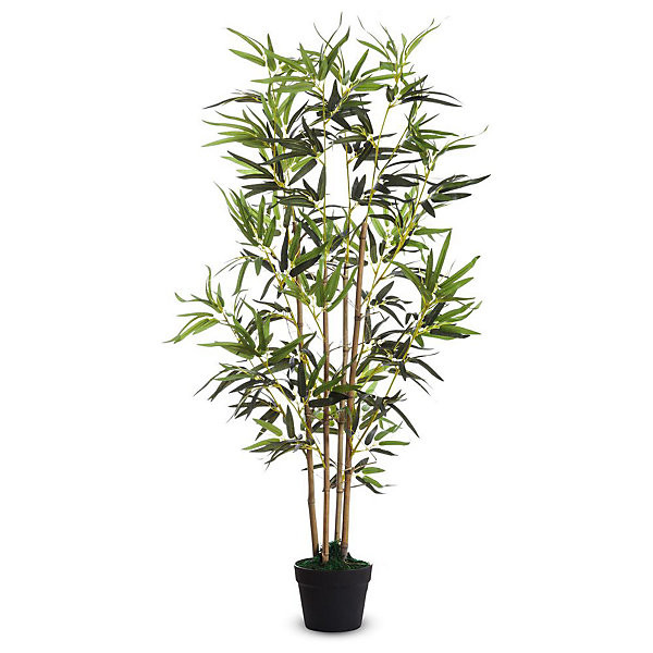 Bambou hauteur 120 cm
