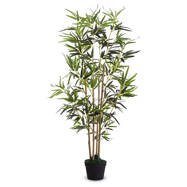 Bambou hauteur 160 cm