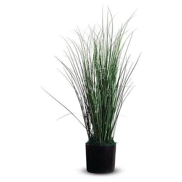 Fagot d'herbes hauteur 55 cm