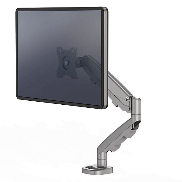 FELLOWES bras écran simple Eppa gris