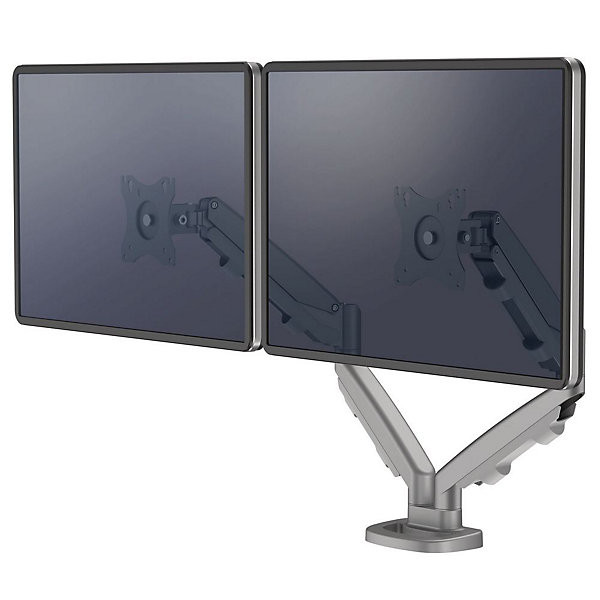 FELLOWES bras écran double Eppa gris
