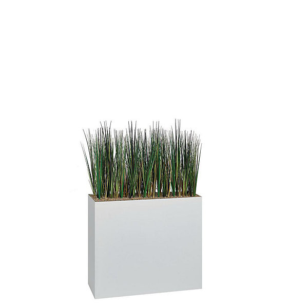 Composition Herbes dans jardinière haute