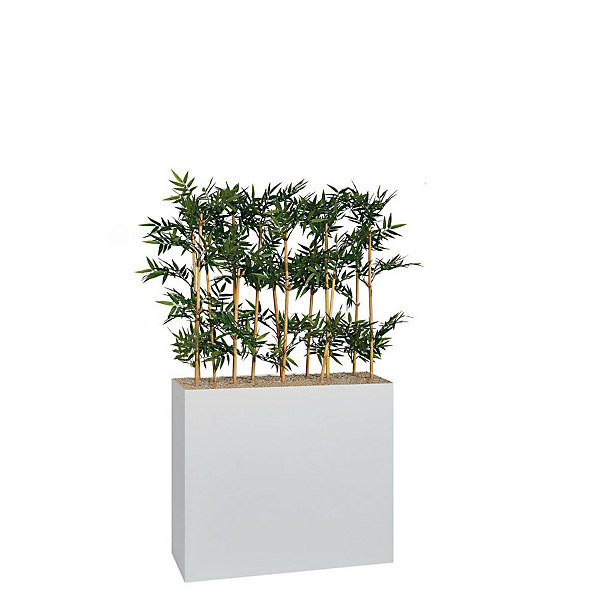 Composition Bambous dans jardinière haute