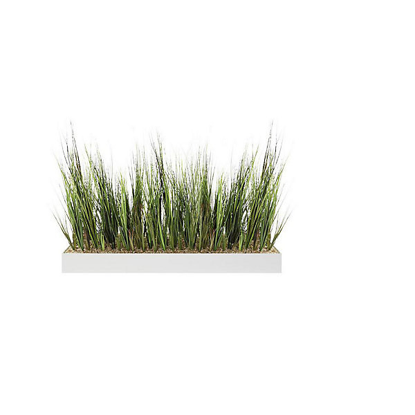 Composition Herbes dans jardinière basse