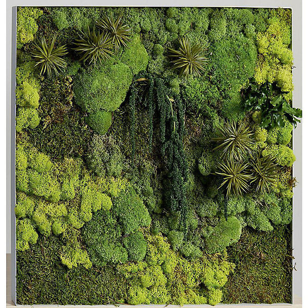 Tableau végétal carré 60x60cm