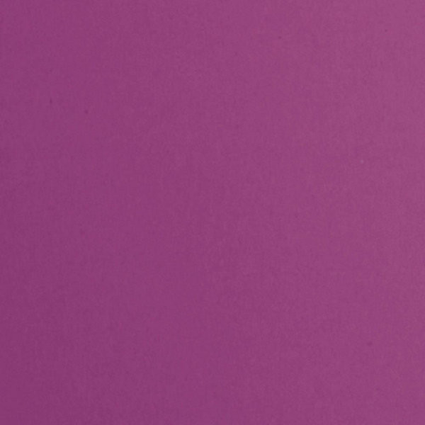 MULTICASES Lot 2 portes prune