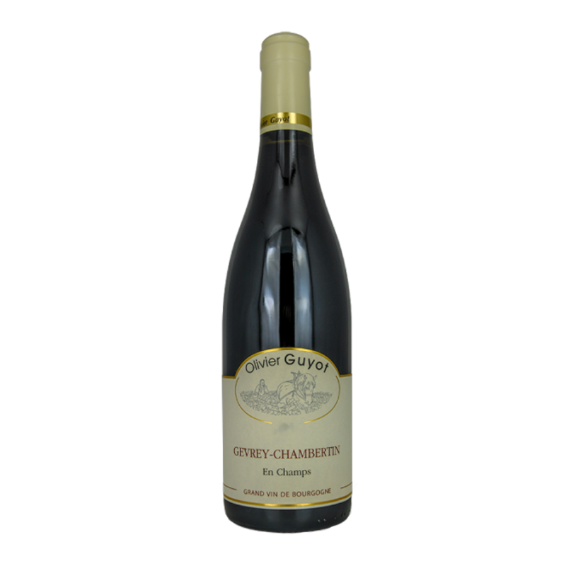 Gevrey Chambertin En Champs Olivier Guyot 2015